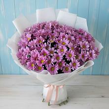 Букет цветов из:  Хризантемы в Заветном Ростовской области