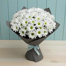 Букет цветов из:  Хризантемы в Заветном Ростовской области