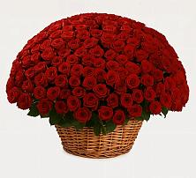Премиум букет из: Розы в Заветном Ростовской области